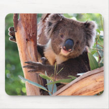 Victorian Koala Mouse Pads