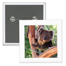 Victorian Koala Pin