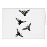 Victorian Moths Greeting Card