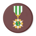 Vietnam Campaign Medal magnets
