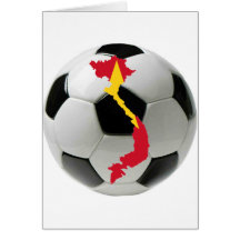 Vietnam national team card
