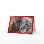 Vietnamese New Year of the cat Happy New Year 2011 Card