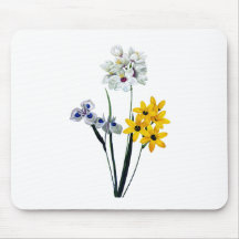 Vieufseuxie a taches by Pierre Joseph Redoute Mousepads