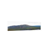 View From Cadillac Mountain Stretched Canvas Print