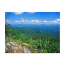 View from Mount Everett, Berkshires Postcard