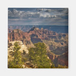 View from North Rim Visitor Centre - Grand Refrigerator Magnet