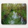 View From the Bridge Mouse Mats
