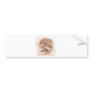 View of a Skull by Leonardo Da Vinci circa 1489 Bumper Sticker