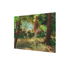 View of a Stage Coach Amongst Big Trees Stretched Canvas Print