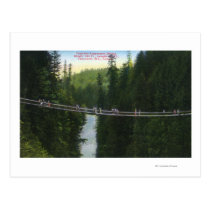 View of Capilano Suspension Bridge postcards