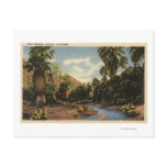 View of Palm Springs Canyon postcards