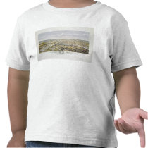 View of Paris from Bois de Boulogne Tee Shirts