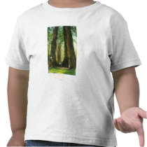 View of Redwood Twins at Big Tree Grove Tee Shirts