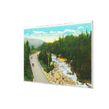 View of the Ammonoosuc Lower Falls Canvas Prints