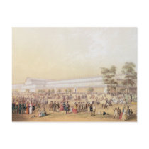 View of the Crystal Palace Postcard