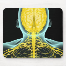 View of the nerves in the upper body from above mousepads