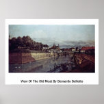 View Of The Old Moat By Bernardo Bellotto Posters