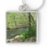 View of the River Key Chains