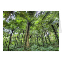 View of vegetation in Bali Botanical Gardens, Cards