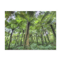 View of vegetation in Bali Botanical Gardens, Postcards