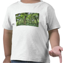View of vegetation in Bali Botanical Gardens, T Shirt