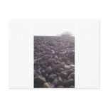 View over pebbles to silouetted West Pier postcards