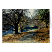 View through Beech Grove Greeting Card