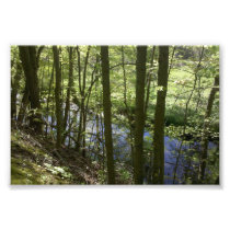 Views from the bike path photo print