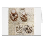 Views of a Foetus in the Womb Greeting Card