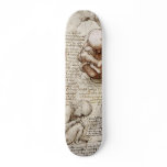 Views of a foetus in the womb. skateboards