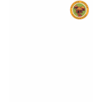 Village Africa small logo spaghetti top t-shirts