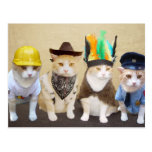 Village Kitties Postcards