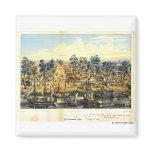 Ville de Sacramento, 1849.  Fridge Magnet