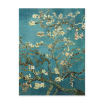 Vincent Van Gogh -  Blossoming Almond Tree Post Card