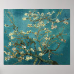 Vincent Van Gogh -  Blossoming Almond Tree posters