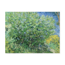 Vincent Van Gogh - Lilacs Post Card