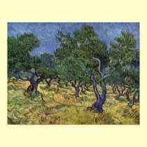Vincent van Gogh - Olive Grove posters