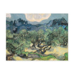 Vincent Van Gogh - Olive Trees with the Alpilles postcards