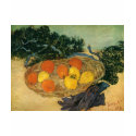 Vincent van Gogh's Basket of Fruit and Gloves 1889 t-shirts