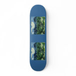 Vincent van Gogh's Olive Trees (1889) skateboards