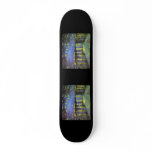 Vincent van Gogh's Starry Night Over the Rhone skateboards