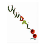 Vindaloo Chilli Peppers Postcards