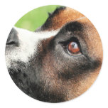 Vindy and Pups - Photo 04 stickers