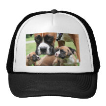 Vindy and Pups - Photo 09 Hat