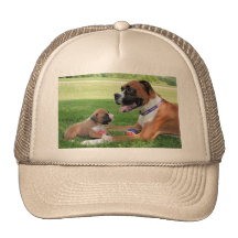 Vindy and Pups - Photo 95 Mesh Hat