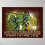 Vine and Branches John 15:5 Poster Print