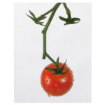 Vine tomato flyers