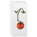 Vine tomato rack cards