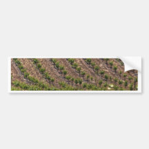 Vines In Field Bumper Stickers