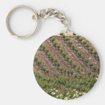 Vines In Field Keychain